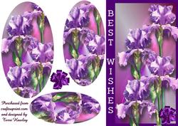 Raining Flowers Iris