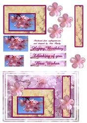Spring Time Wishes