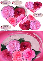 Pink Camillia's
