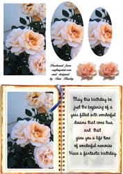 Birthday Book