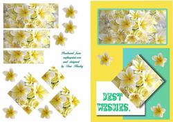 Frangipani Best Wishes
