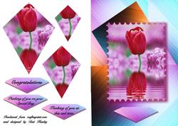 One Tulip