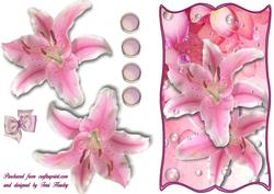 Any Reason Pretty in Pink