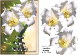 Sympathy 6