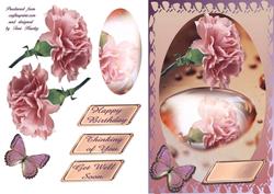 Pink Carnation
