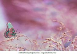 Butterfly Kiss