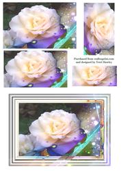 Framed Rose