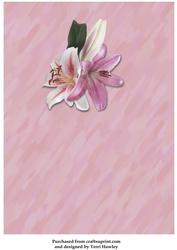 Lots of Lilies with Love Insert