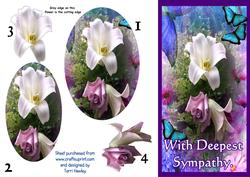 Sympathy Lily