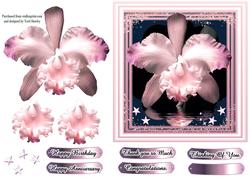 Orchid 1