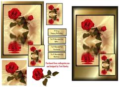 Wonderful Rose