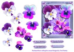 Over the Edge Pansy
