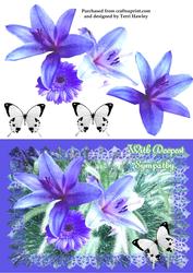 With Deepest Sympathy Lily
