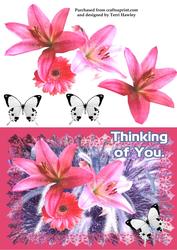 Thinkng of You Lily