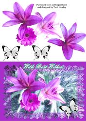 With Best Wishes Lily