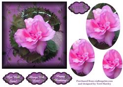 Always with Love 6 X6 Purple