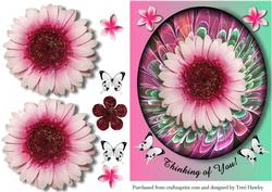 Thinking of You Grebera Pink