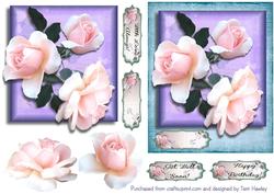 Pink Rose Greetings