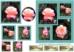 To Cheer You Roses