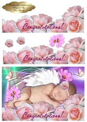 Congratulations Sweey Baby