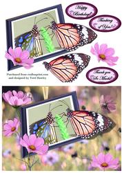 Butterfly Greetings