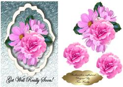 Get Well Flowers