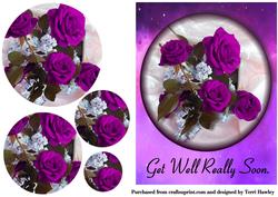 Purple Rose Get Well Soon