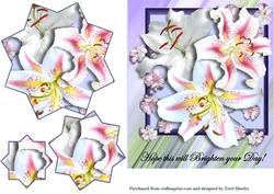 Star Lily