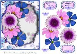 Pink and Blue