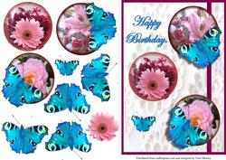 Birthday Butterfly
