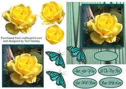 Yellow Rose