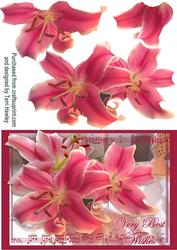 Best Wishes Lilies