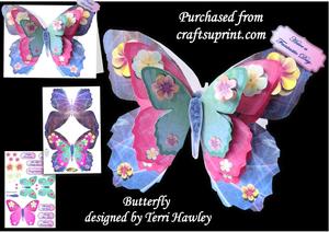 Butterfly