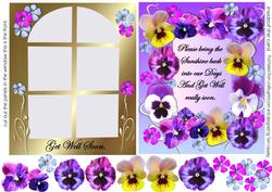 Get Well Pansy