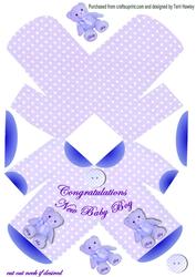 New Baby Boy