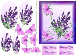 Lavender