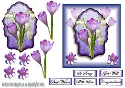 Spring Flowers
