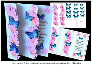 Cosmos and Butterflies