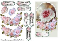 Pretty Roses