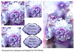 Because I Care Dahlia Blue