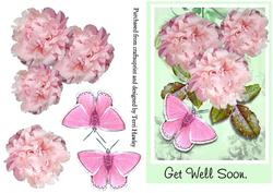 Get Well Pink Roses
