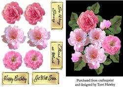 Sweet Pink Rose Greetings