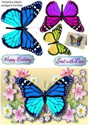 Beautiful Butterflies