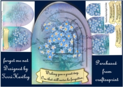 forget me not