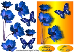blue poppy and butterfly