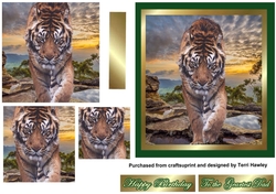 love of tigers