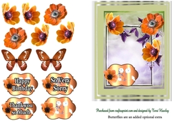 orange anemones greeting s