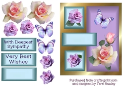 sweet roses