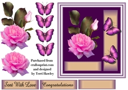 pink rose congratulations.