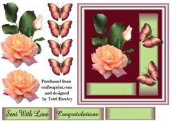 salmon pink rose congratulations.
